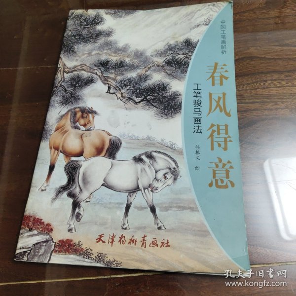 春风得意是指什么生肖，重点诠释解释落实