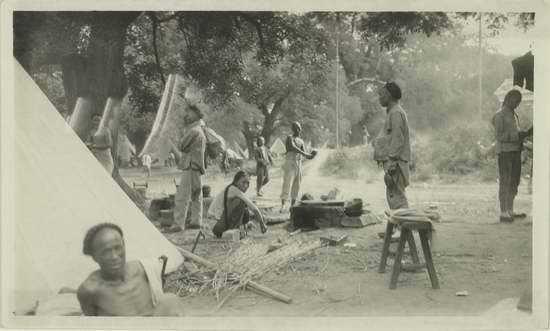 丁巳，探寻生肖中的独特魅力与非凡解释