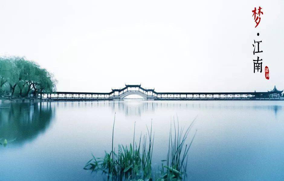 江水如蓝一片绿猜一动物，深度解析与落实