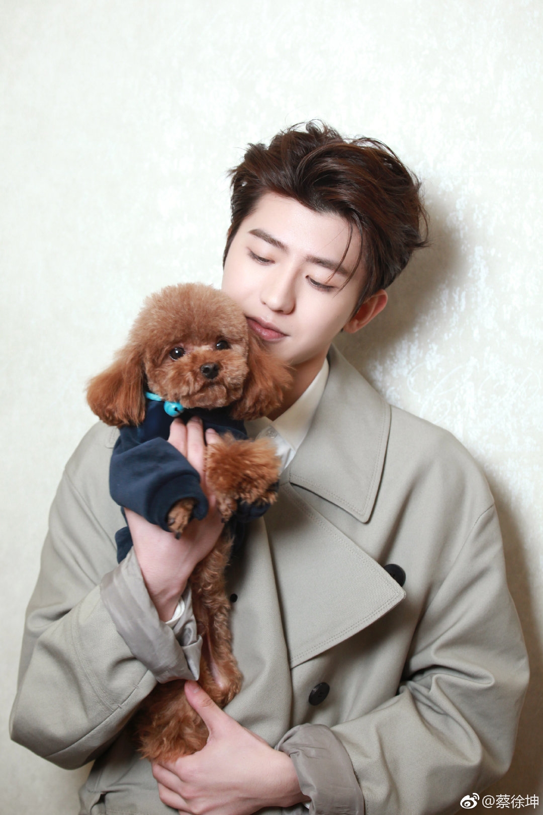 蔡徐坤的生肖与团结、解释、落实的青春力量