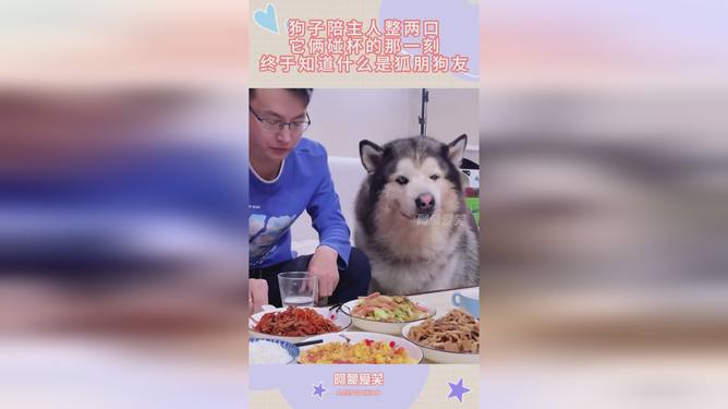 狐朋狗友是什么生肖，的温馨解析与文化解答