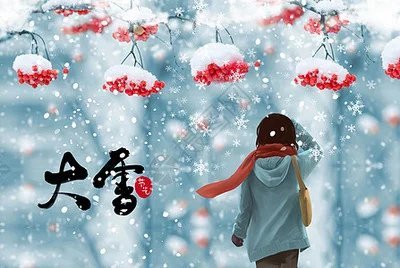 大雪纷飞中的生肖谜团，揭秘大雪纷飞背后的生肖寓意