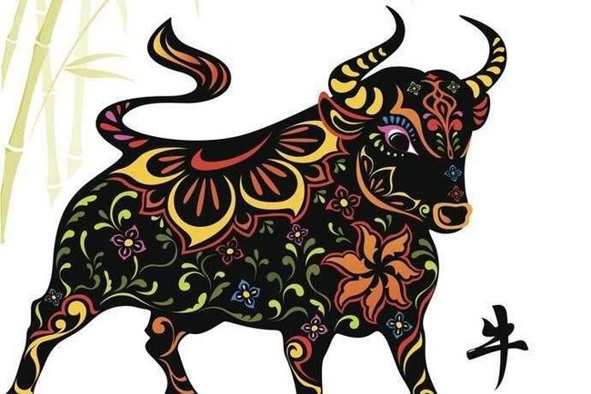 揭秘热火朝天背后的生肖奥秘，一探究竟的趣味之旅