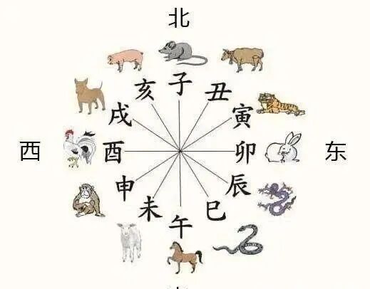 十二生肖的三合六合，传统智慧与现代积极实践的融合