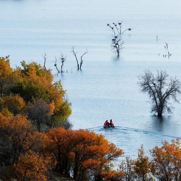 肥田沃地是指什么生肖，奥秘解释落实