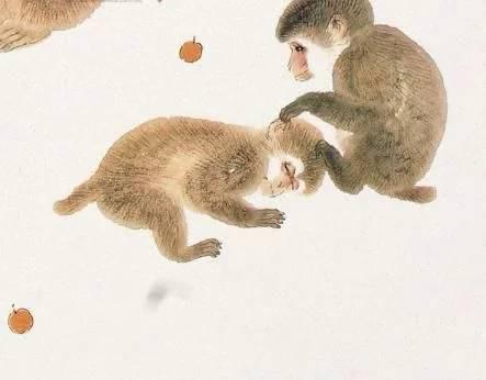 最懒的生肖女，无限解释落实