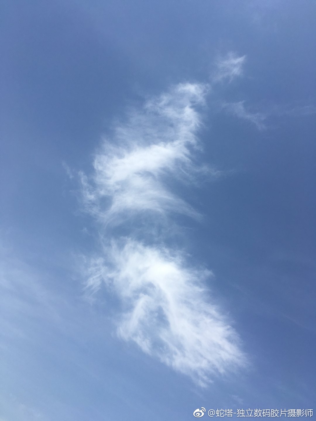 云散云聚，生肖之鼠的智慧与战略运用