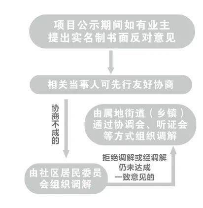 一言为定打一正确生肖，积极解释与落实的转变