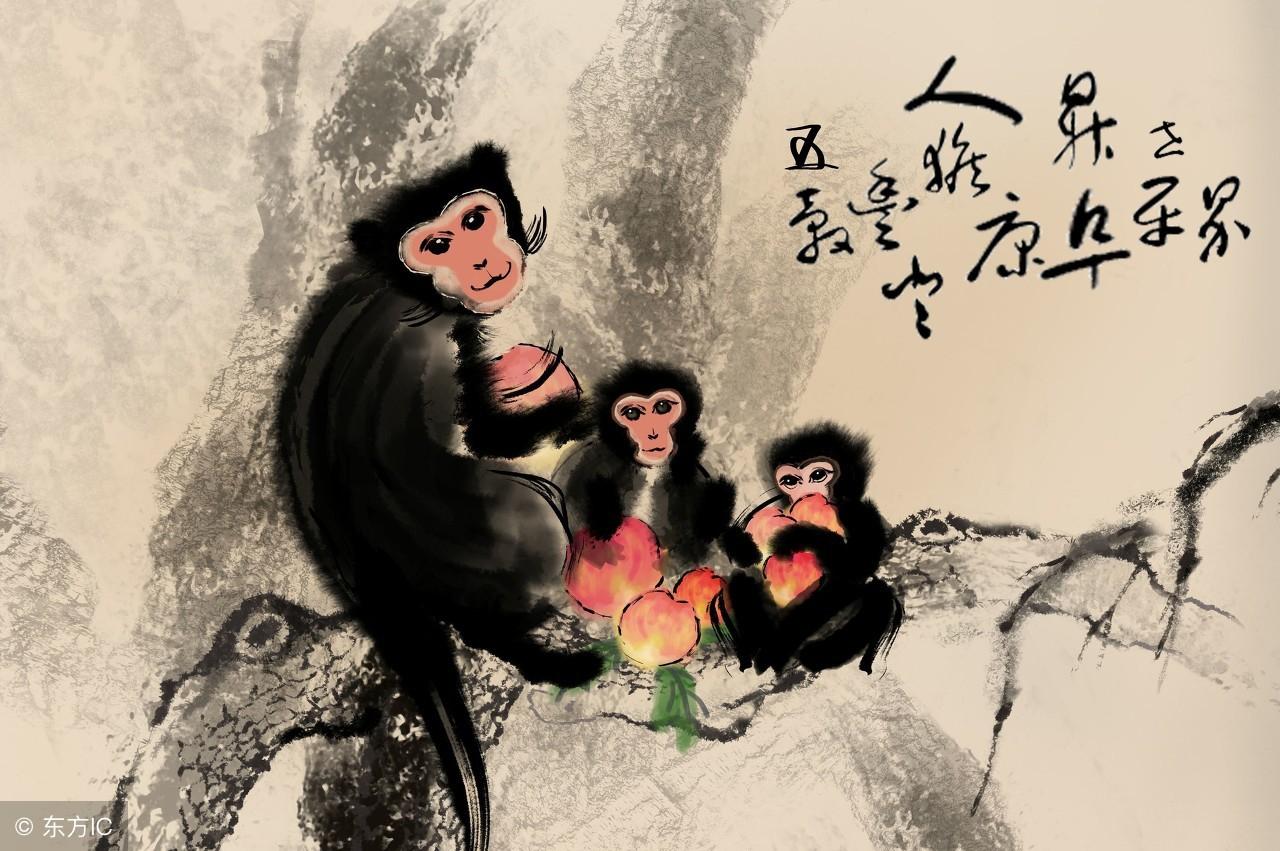 一意孤行打一生肖，的不安分之选