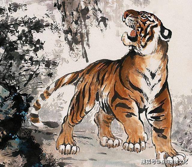威风八面，生肖虎的传奇与寓意