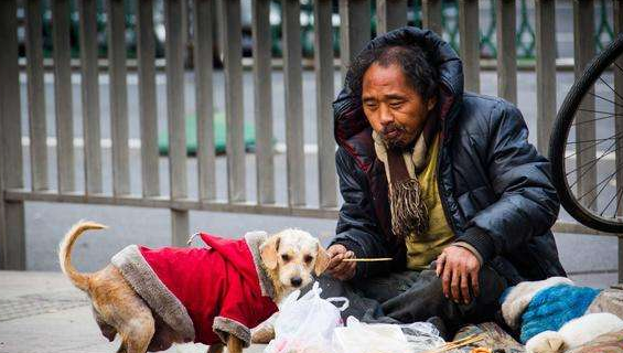 探秘生肖之谜，乞丐与生肖的奇妙联系