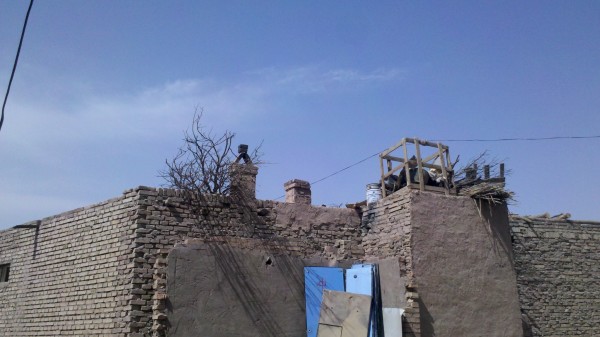 一砖一木筑高台是指什么生肖，正确解释与落实