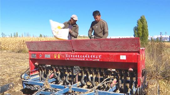 祸不单行打一正确生肖，精选解析与落实的详细结果