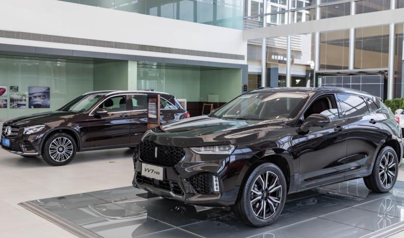 弘誓大愿猜一动物，详细作答落实解释