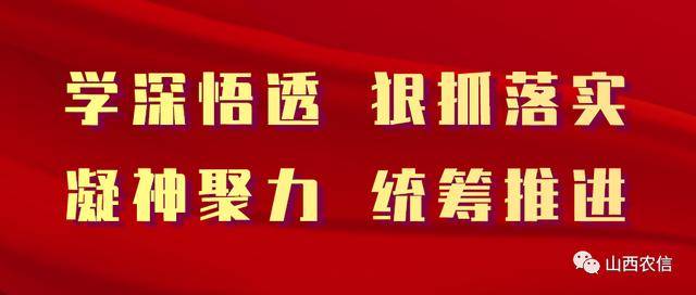 精准解答与落实精神，龙精虎猛猜一生肖的深度剖析