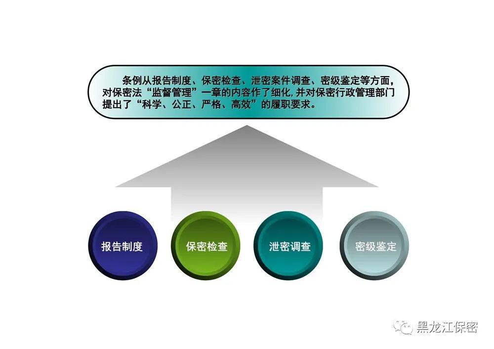 俯仰之间猜一动物，神秘解释落实