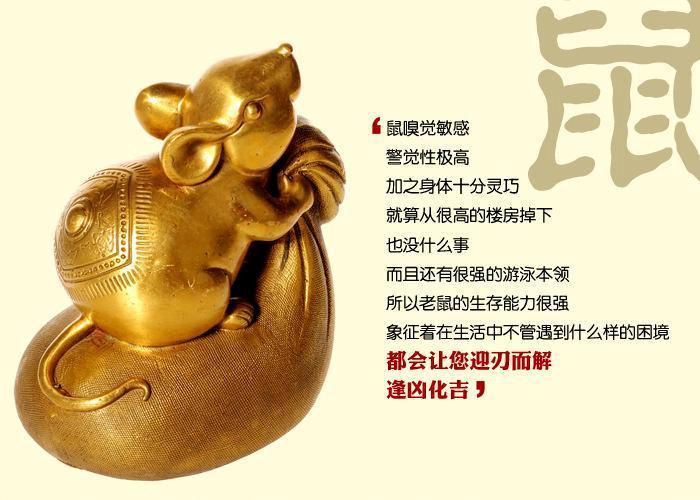 生肖狗，忠诚与挑战的双重奏鸣—揭秘与哪些生肖相冲的奥秘