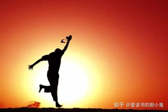 坚定不移，生肖之谜的深度解析与智慧思考