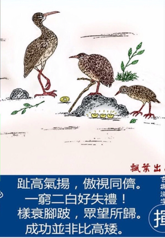 信口雌黄猜一动物，揭秘与解析的全面落实