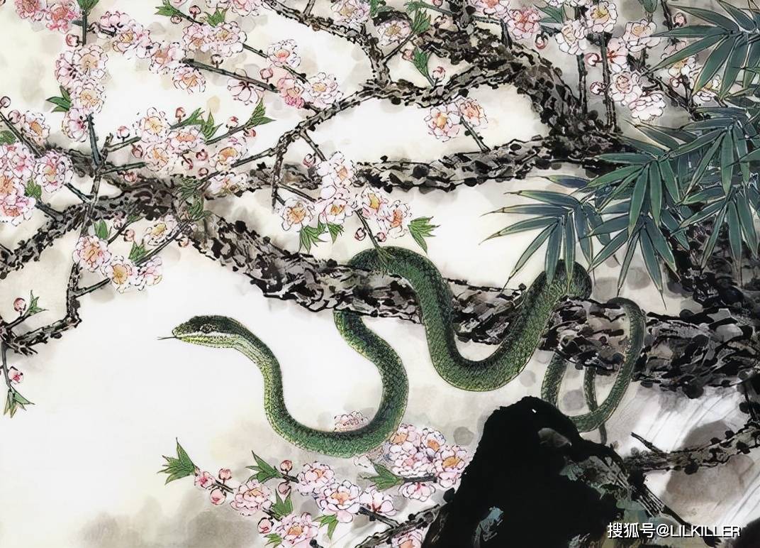 心事重重是指什么生肖，精选解析与落实的详细结果