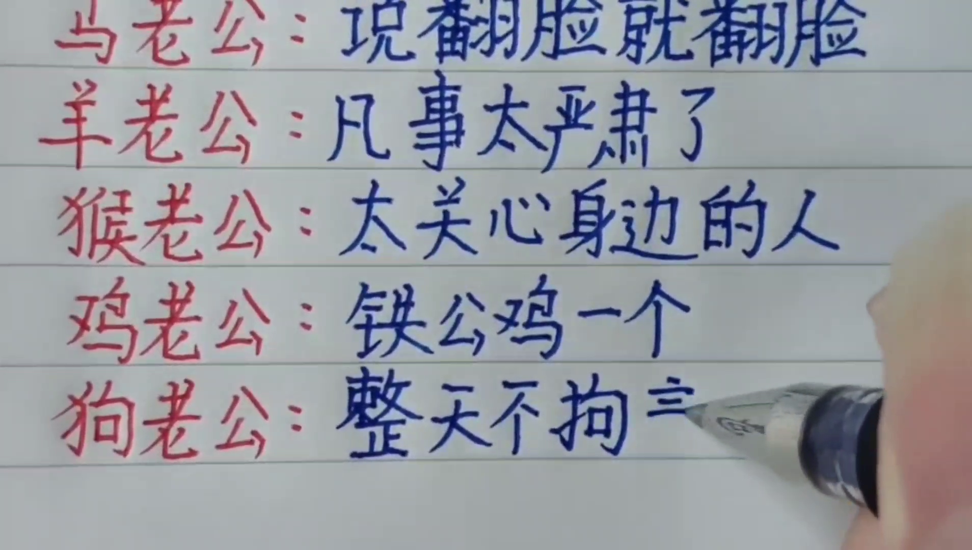 十二生肖谁最疼老公，解释与落实的和谐共舞