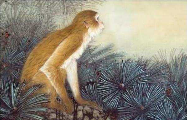 十二生肖智慧大比拼，谁最笨的理想作答与现实解释