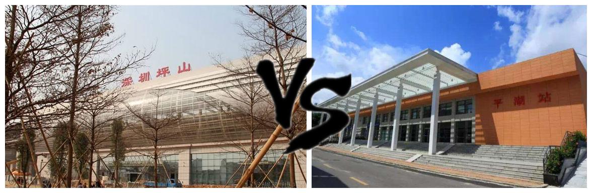 临危不惧是什么生肖动物，沉稳作答落实解释