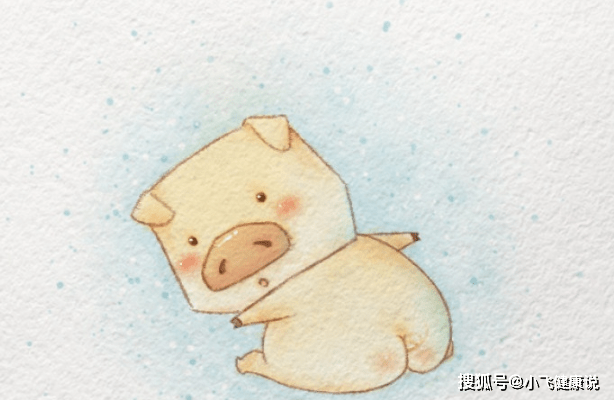 十二生肖谁最疼老公，解释与落实的和谐共舞