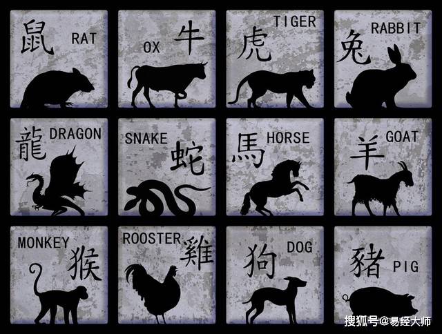 天长日久，揭秘生肖之谜与最快解答落实的智慧