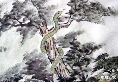 轻烟故人四五家猜一生肖，的动物智慧与战略运用