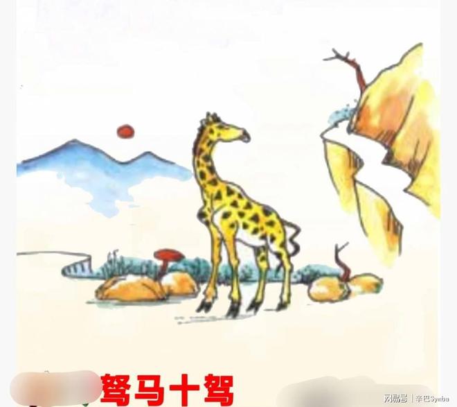 奇花异果，生肖之谜的独特解读