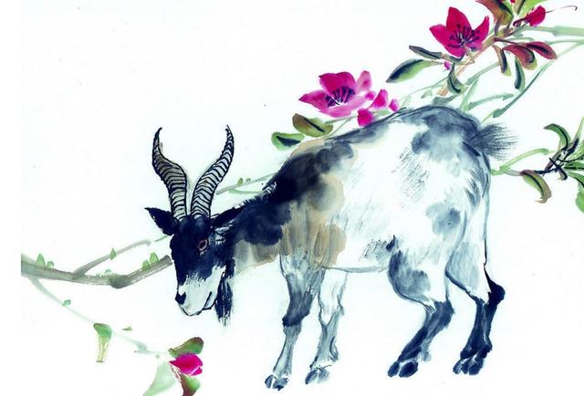 荣华富贵的生肖是什么，团结解释落实