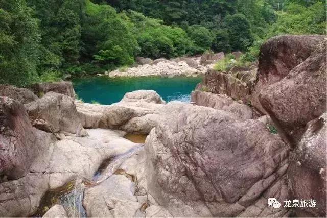 千姿百态，生肖中的独特魅力—以龙为例的积极解释与落实