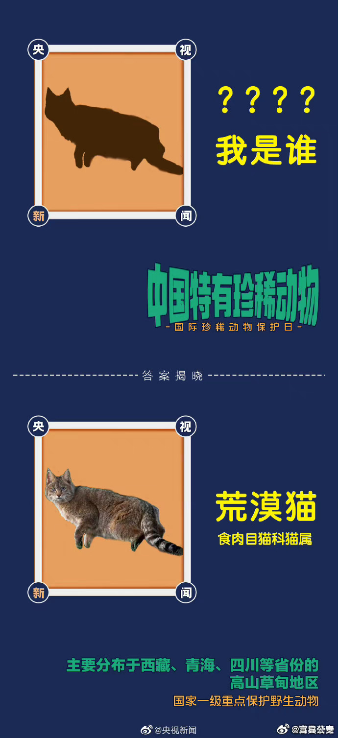 娓娓动听，揭秘娓字背后的动物谜题