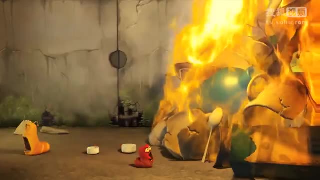 远水救不了近火，猜生肖背后的智慧与哲理