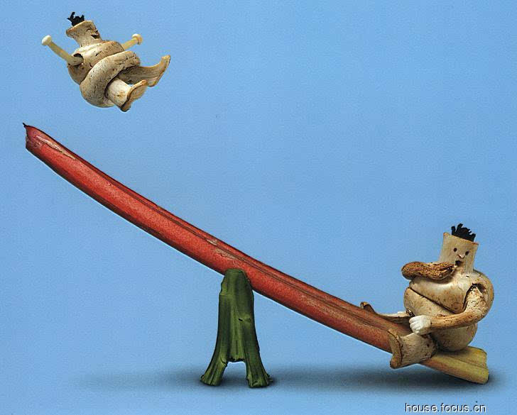 五花八门开过什么生肖，理想作答落实解释