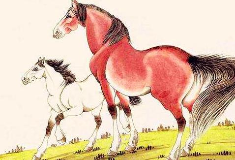 鸡跑马非义打一生肖，结论作答落实解释