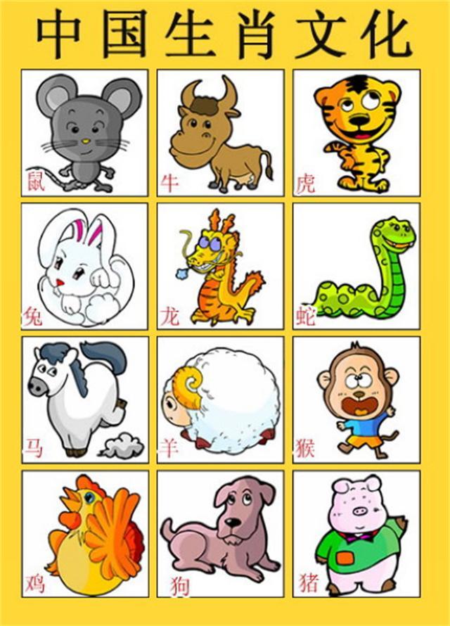 生肖三合是什么意思，精选解析与落实的详细结果