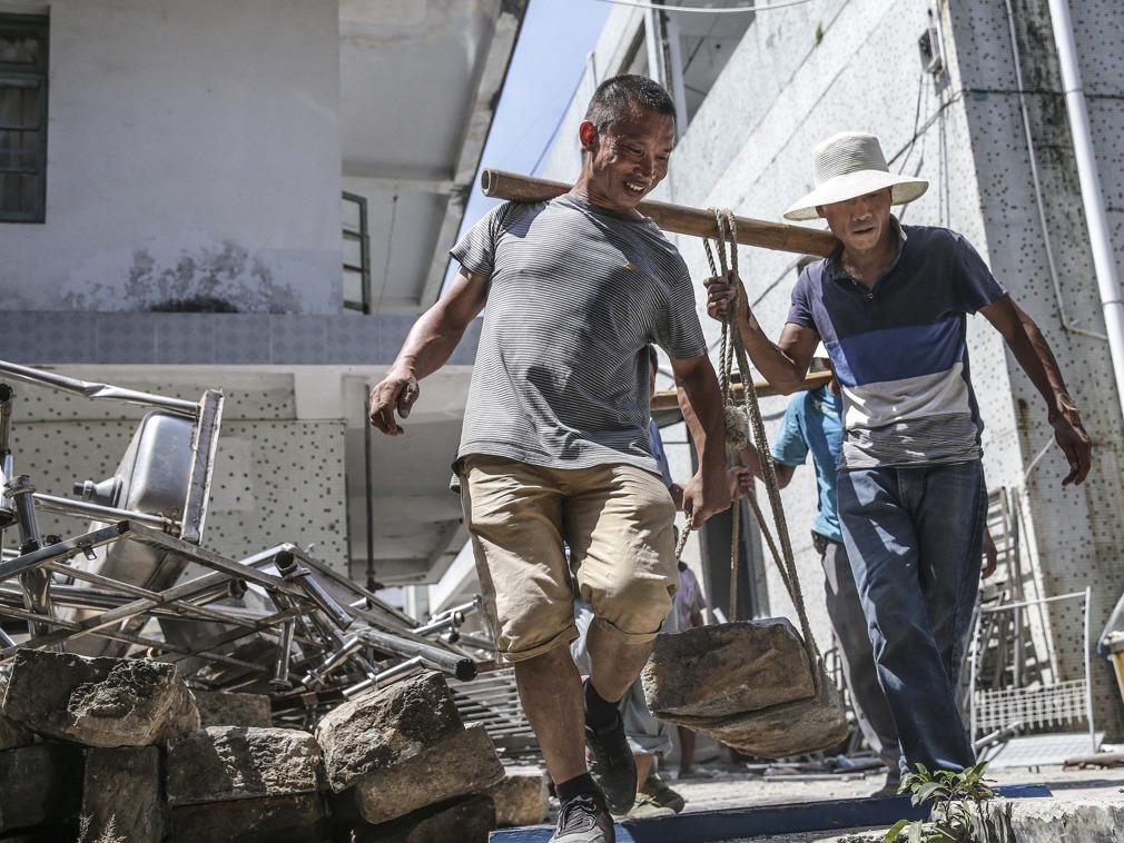 烈日当空猜一动物，揭秘与解读的奇妙旅程