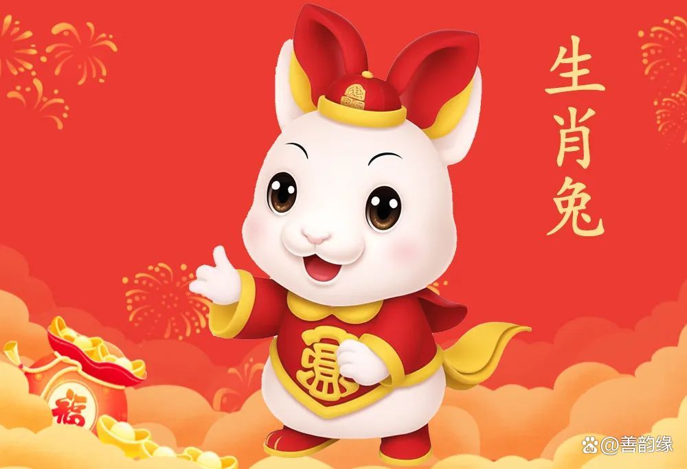 多多益善打一正确生肖，成就解释落实