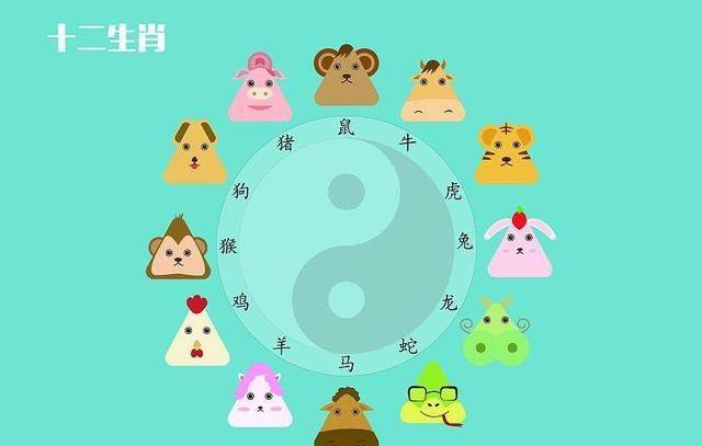 大小生肖的奥秘，解析与选择落实
