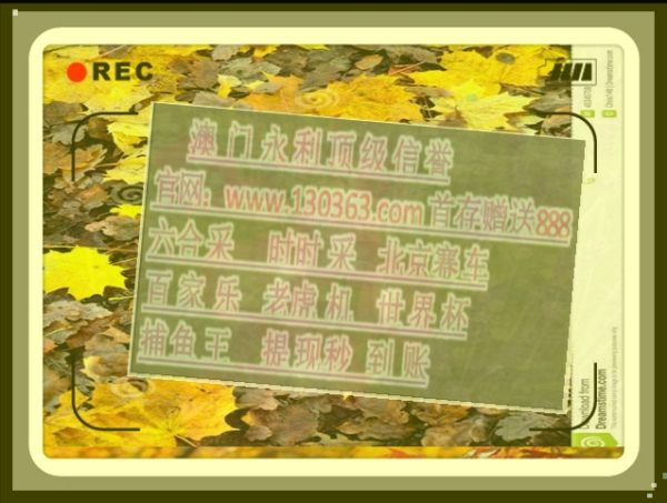 一年四季猜一生肖，专业作答落实解释