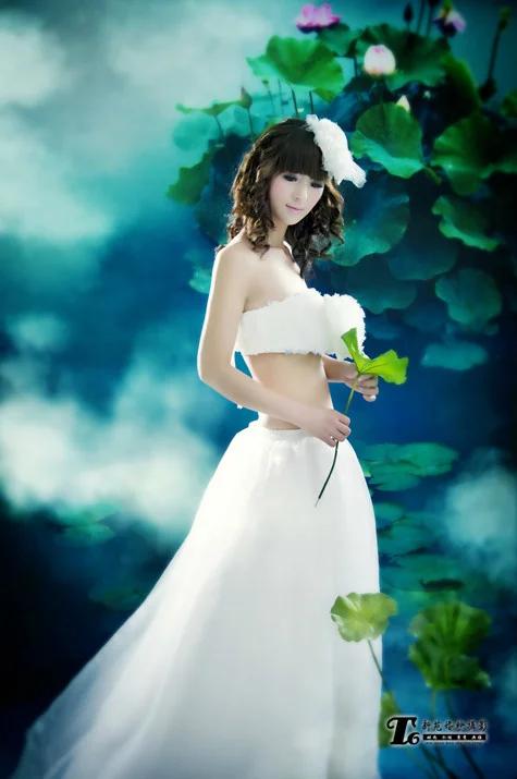 浮文套语猜一动物，从文字游戏到真实发现的奇妙旅程