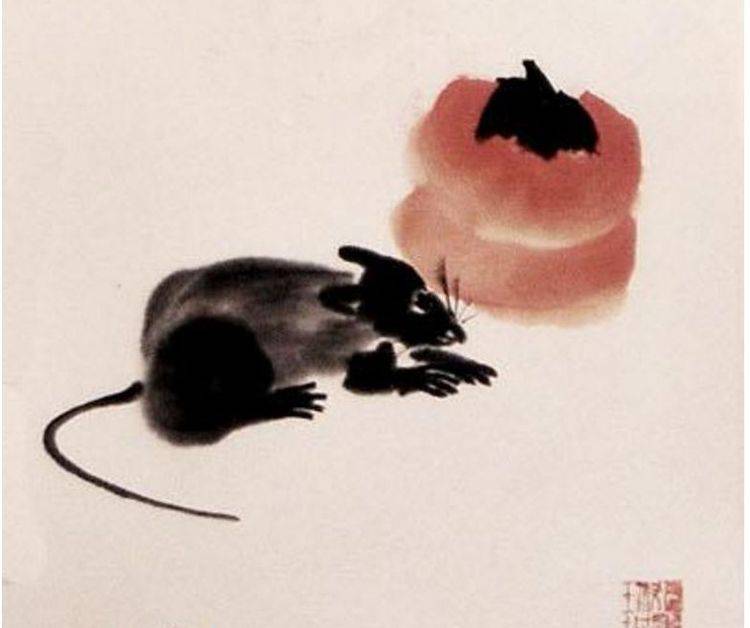 休戚与共，生肖鼠的智慧与担当