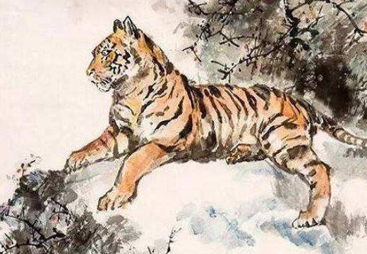 德配天地打一正确生肖?谜底即将揭晓