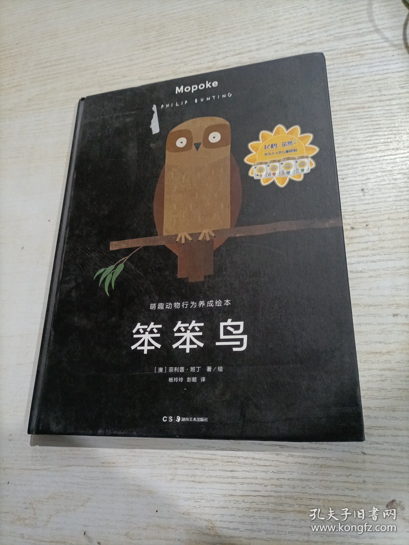 笨鸟的生肖之谜，揭秘与寓意的深度解析