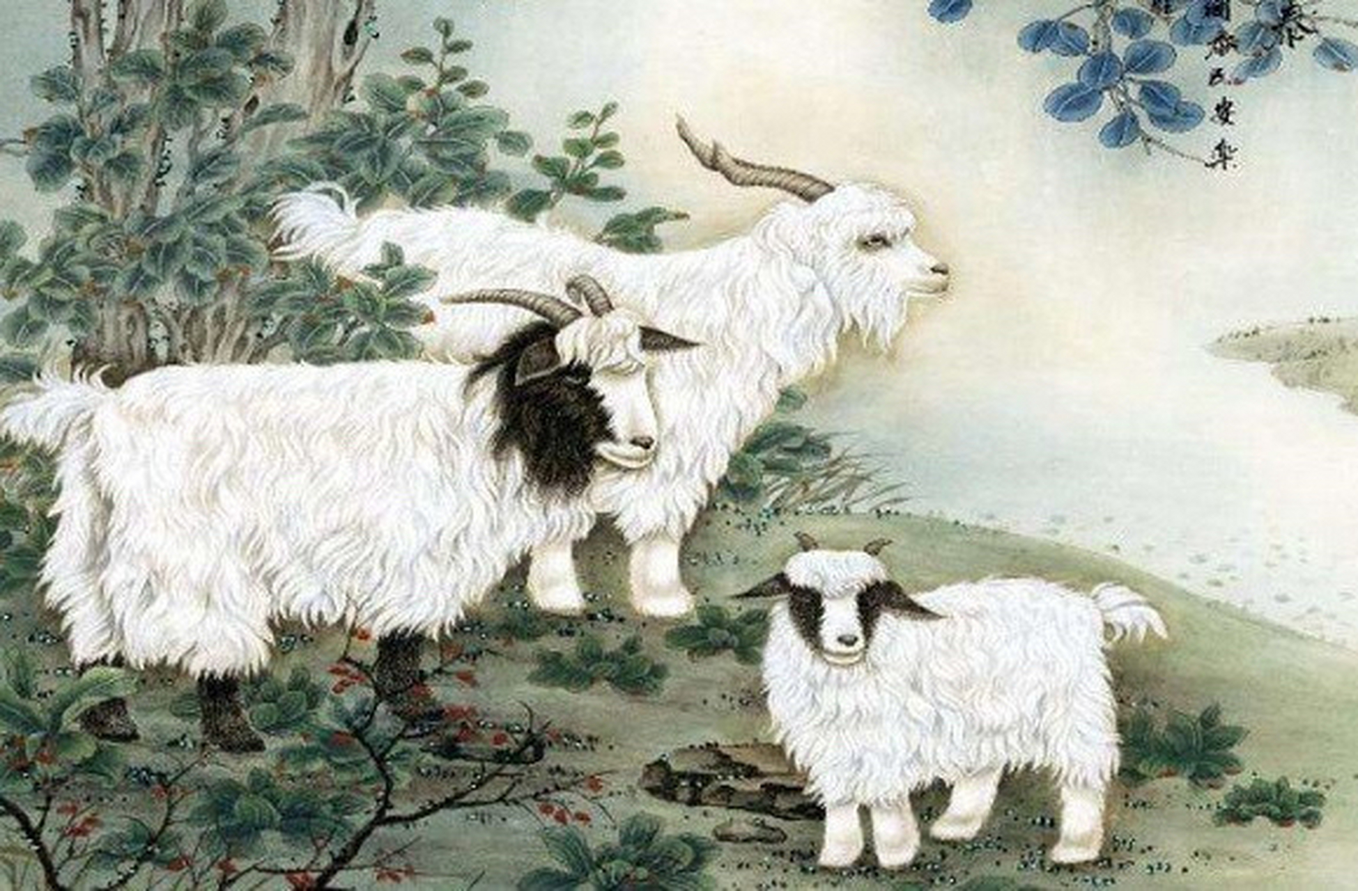 十羊九牧是指什么生肖，谜底即将揭晓