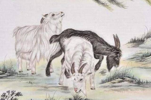 舍己为人指的是什么生肖，正确解释与落实