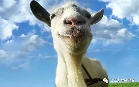 泰然自得，生肖中的隐士—羊的哲学