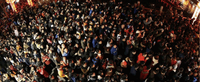 人山人海中寻觅的谜底—解析人山人海猜一动物的奇妙之旅